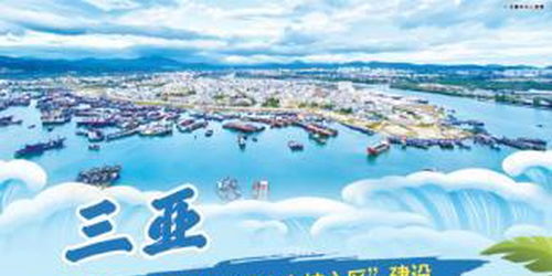 三亞加快 國際旅游消費中心核心區 建設