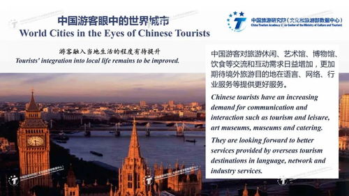 國際旅游城市游客滿意度調查報告