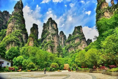 為國際旅游詩歌節造勢,張家界市舉辦大中學生旅游詩歌朗誦大賽