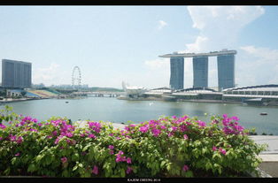 國際旅游熱點 新加坡 3